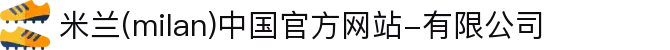 米兰·(milan)中国官方网站-有限公司